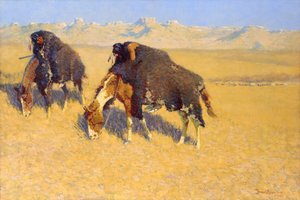 Indiens simulant des buffles